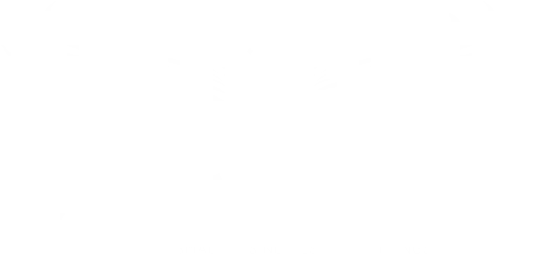 electronic playground